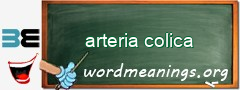 WordMeaning blackboard for arteria colica